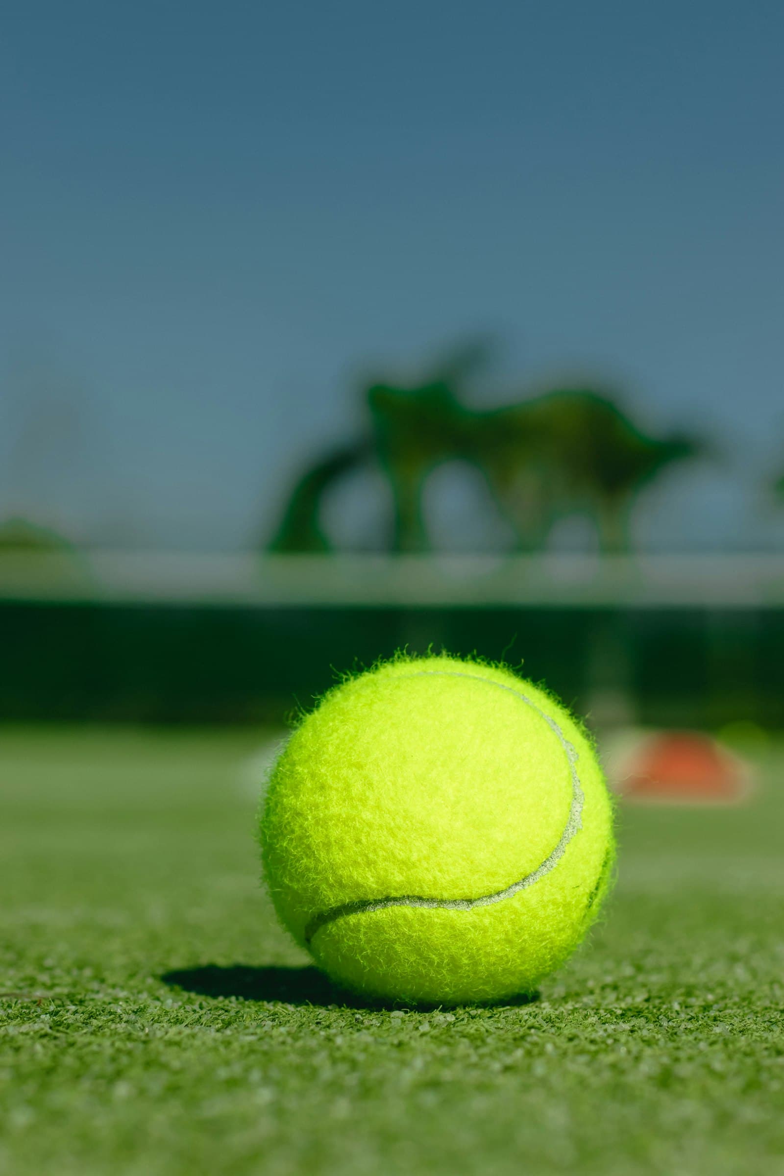 Wimbledon